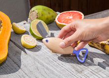 Load image into Gallery viewer, Fish Pocket Knife